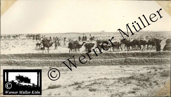 Foto Wilhelm Rieck , Afghanistan, Darulaman, Darul-Aman, Berlin, 1922, Amanullah, Rieck, Kabul, Tape-Taj-Beg, Maass, Harten, Standke, Plessen, Kandahar, Horten, harten, Bau, Palast, Bazar, Timur Schah, Partschin, Parschin, Teheran, Persien, Iran, aden, Vesuv, Neapel, Bombay, Maass, Bagman, Grobba, Gerber, Burg, wandgemälde, Königszimmer, Elefantenrennen, Bünte, Fensterblick, Winter, Reiterverein, Grantham, Suraija, Turmzimmer, Suez, Lyzeum, Schlüterstr, Berlin, Sancoussi, Potsdam, Schlossdächer, Schlossdach, Schachpartner, Kupfterdächer, Kupfterdach, Königlich Afghanischen Gesandtschaft, Berlin-Moabit, Alim Khan, Emir von Buchara, Lalander, Thaj Mahal, Agra, Parron, Baron Plessen, Mehl-Bazar, Mehlhändler, Obsthändler, Zuckerbäcker, Silberschmiede, Habibullah, Bank Ottoman, Pulverfabrik, Uran-Wiederaufbereitungsanlagen, F13, Gallipoli, 